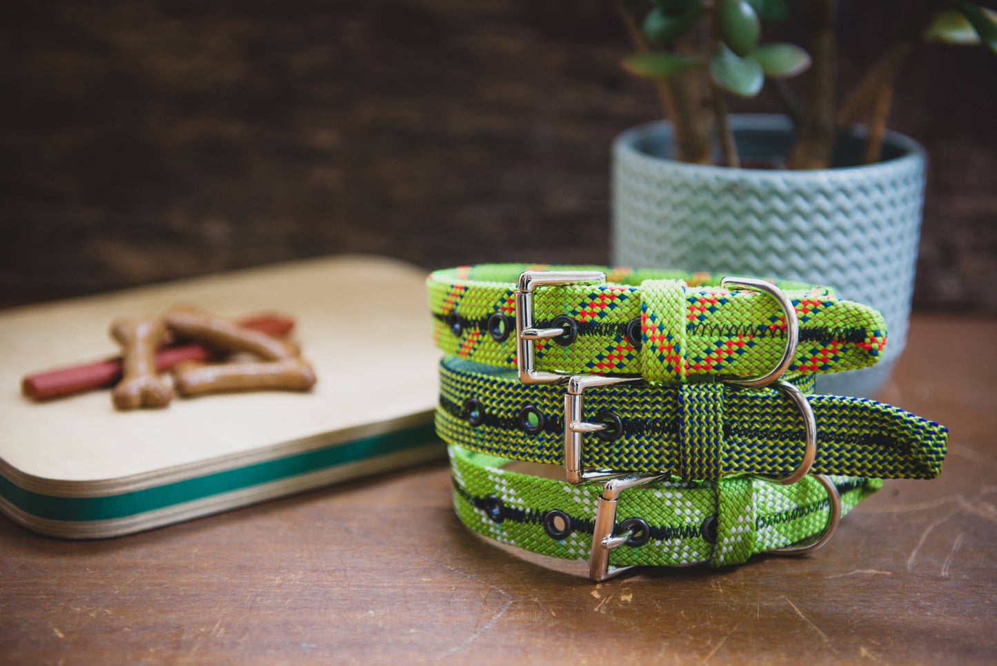 Scavenger Dog Collar