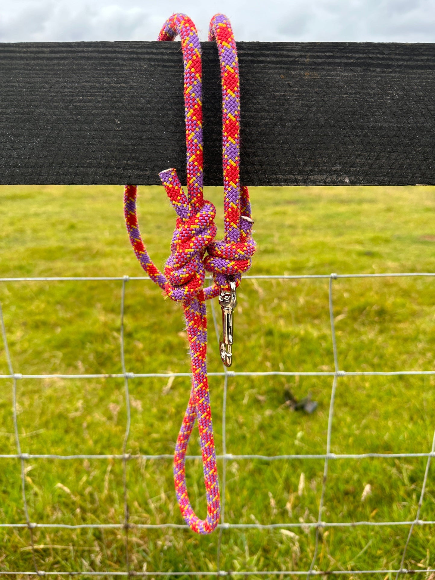 Scavenger Dog collar Orange Recycled Climbing Rope Dog Leash