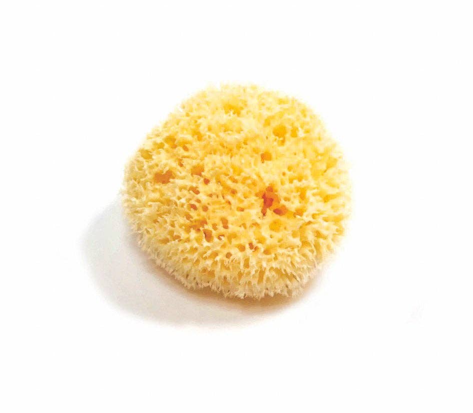 Smile Boutiques Bath sponge Grass Sponge Natural Sea Sponge - Plastic-Free Organic Beauty