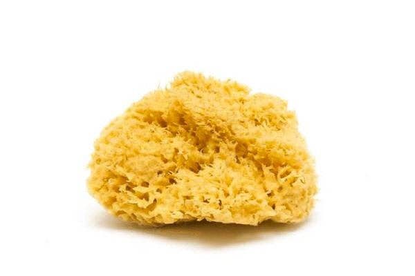 Smile Boutiques Bath sponge Natural Sea Sponge - Plastic-Free Organic Beauty