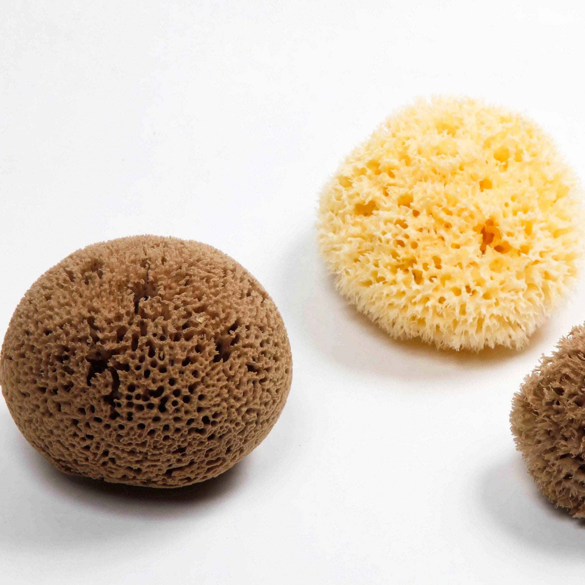 Smile Boutiques Bath sponge Natural Sea Sponge - Plastic-Free Organic Beauty