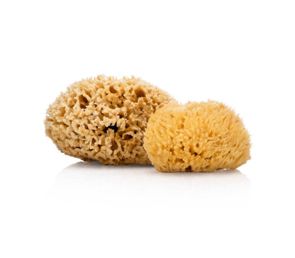 Smile Boutiques Bath sponge Natural Sea Sponge - Plastic-Free Organic Beauty