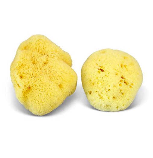 Smile Boutiques Bath sponge Silk Sponge Natural Sea Sponge - Plastic-Free Organic Beauty