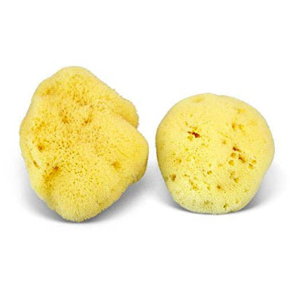 Smile Boutiques Bath sponge Silk Sponge Natural Sea Sponge - Plastic-Free Organic Beauty